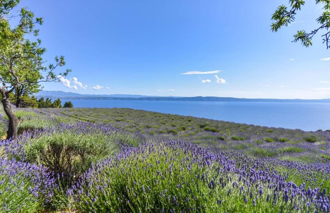 Sea View Ela Apartments Подгора Экстерьер фото