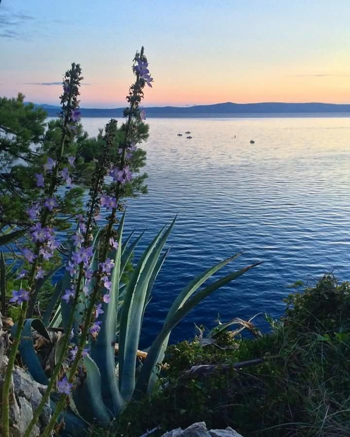 Sea View Ela Apartments Подгора Экстерьер фото